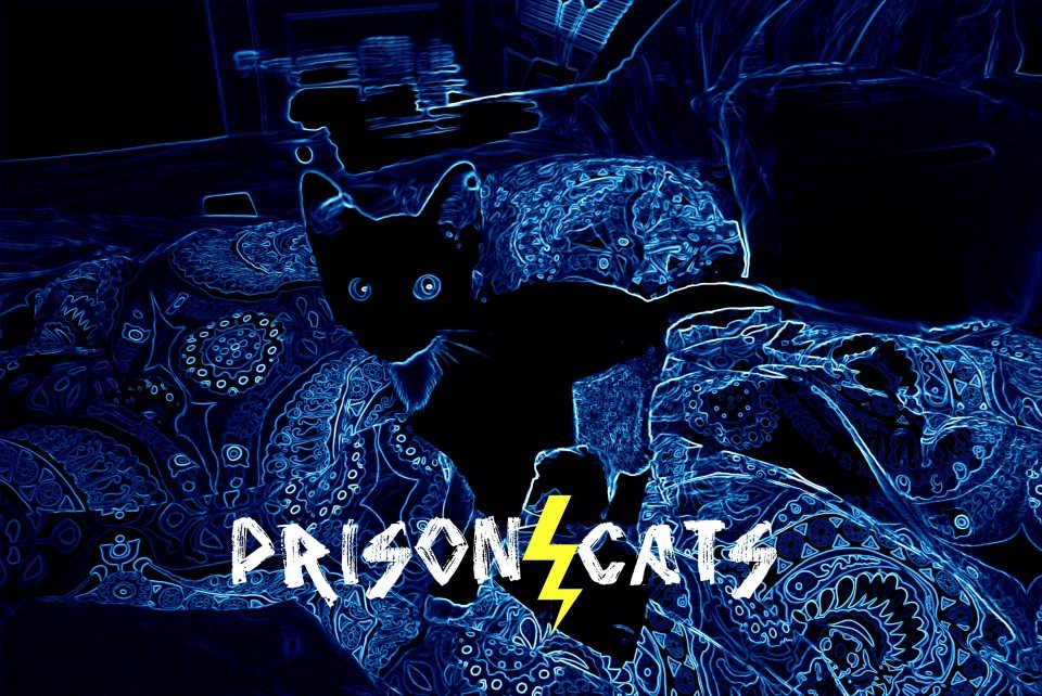The Prison Cats